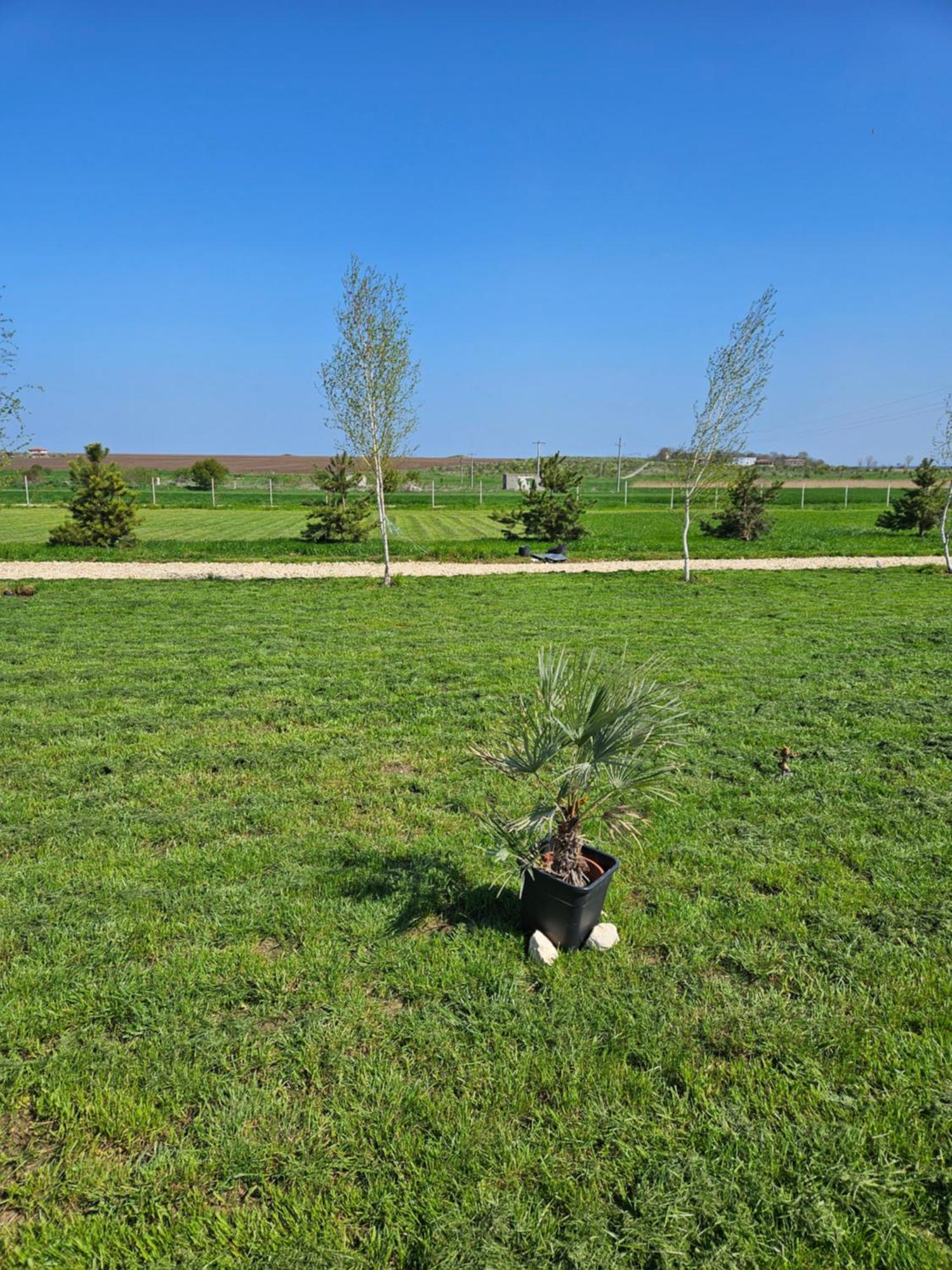 Mar A Lago Glamping23 Douăzeci şi Trei August Exterior foto