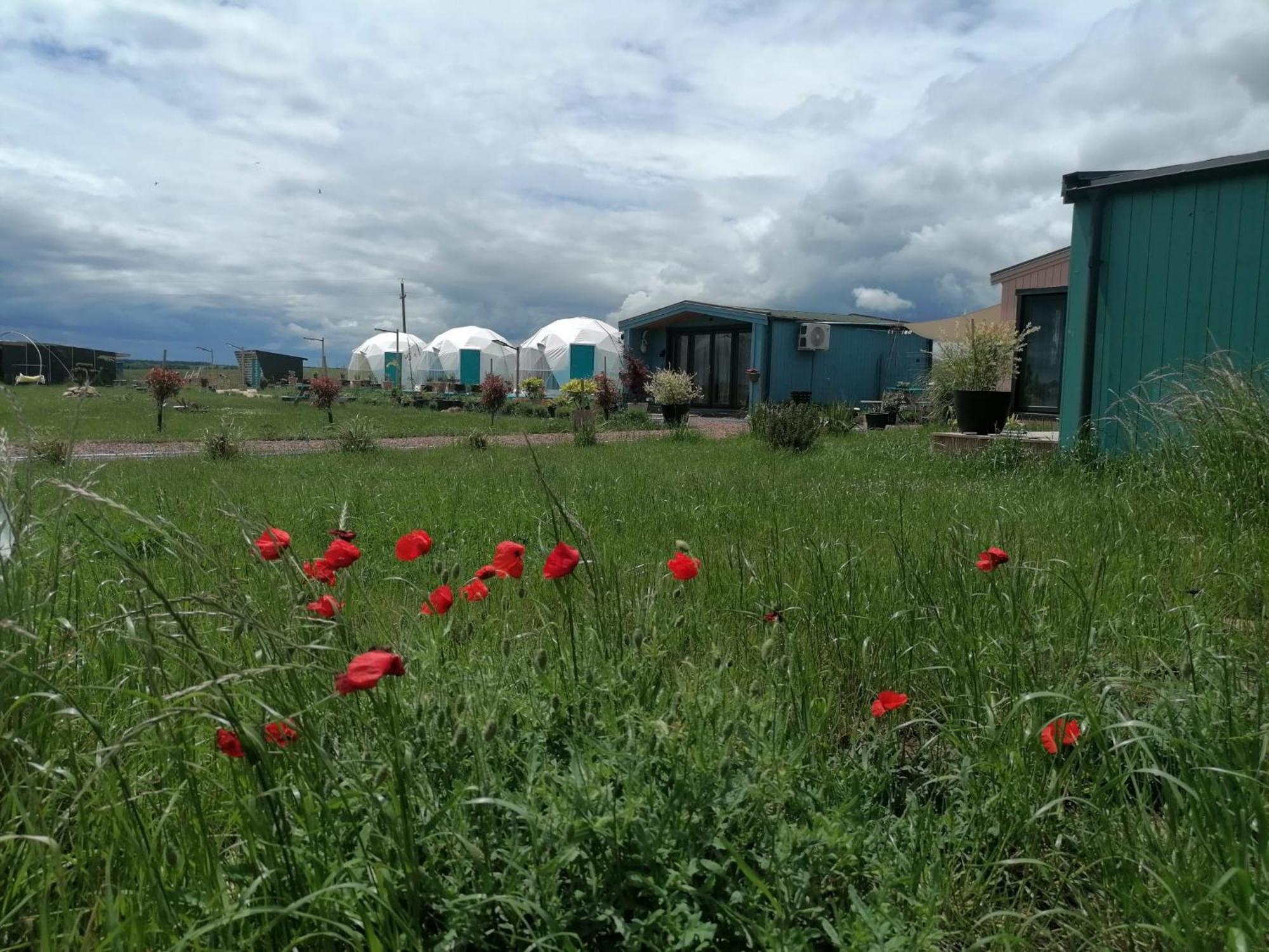 Mar A Lago Glamping23 Douăzeci şi Trei August Exterior foto